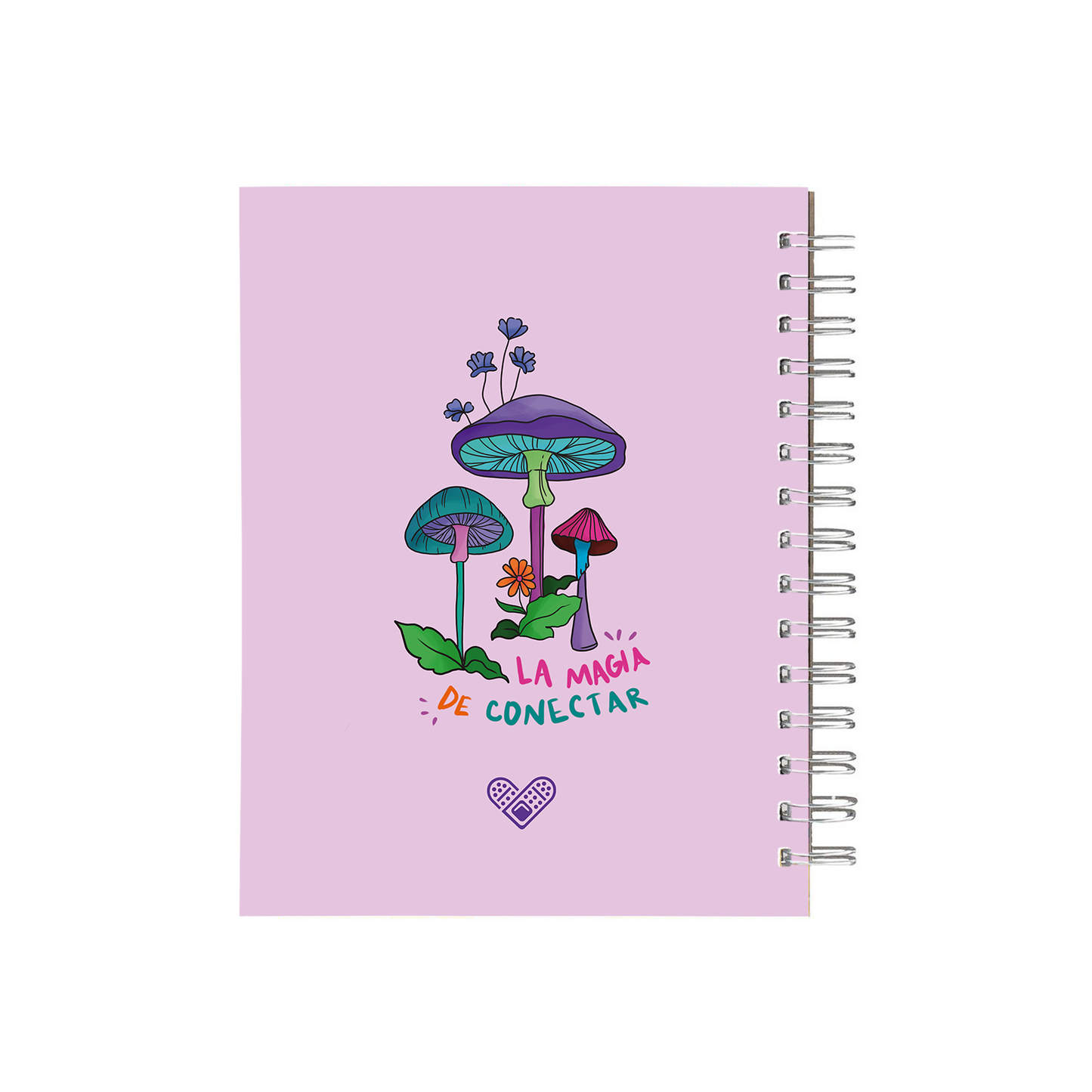 Cuaderno Hongos
