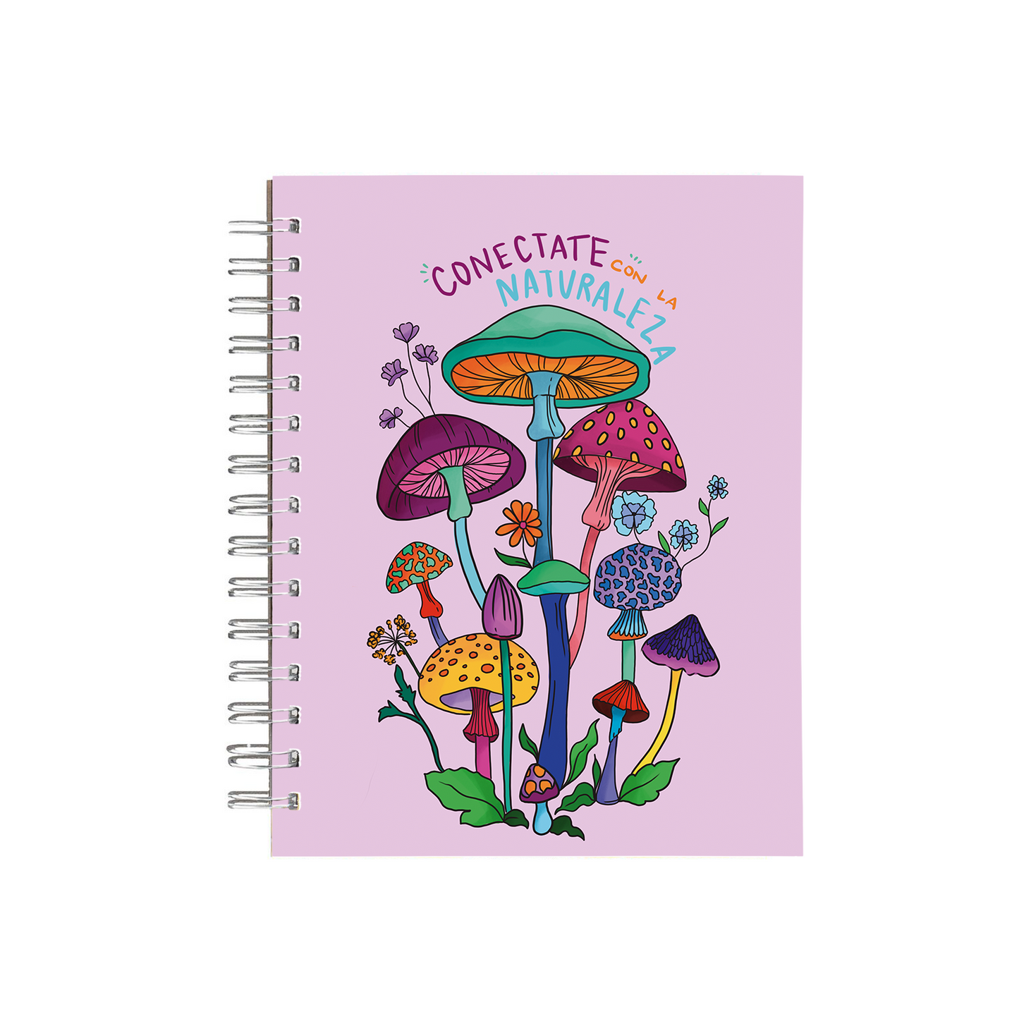 Cuaderno Hongos