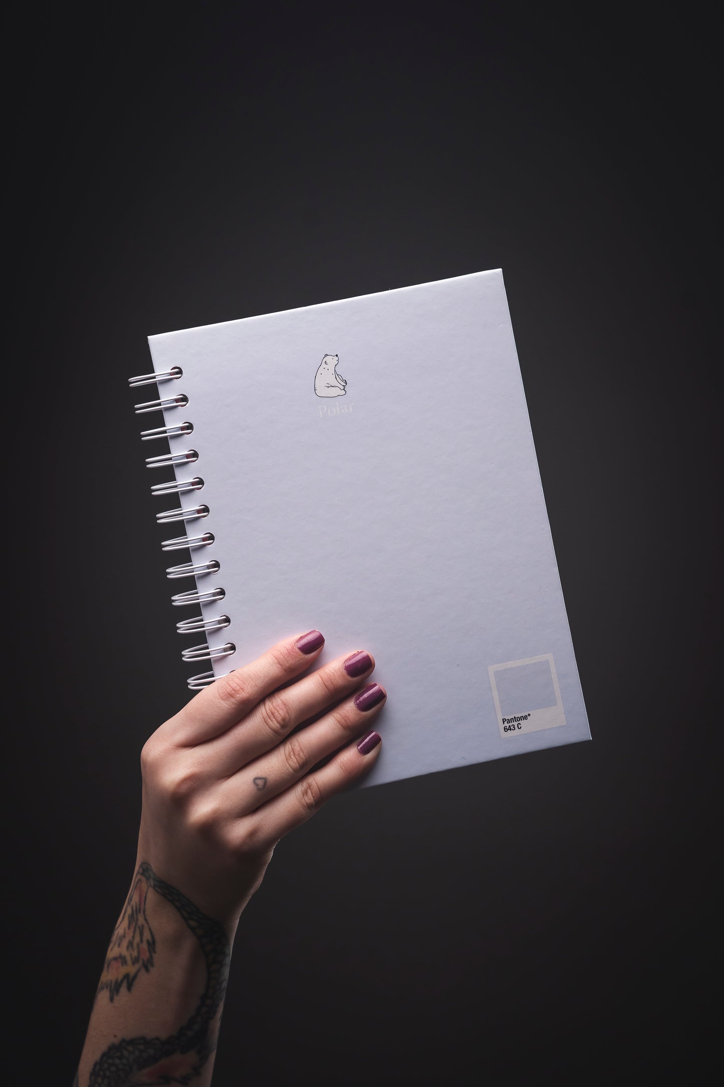 Cuaderno Polar (Tamaño Estándar)
