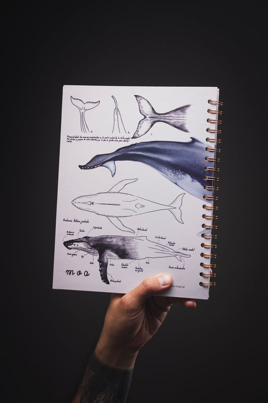 Cuaderno Ballena (Tamaño Grande)