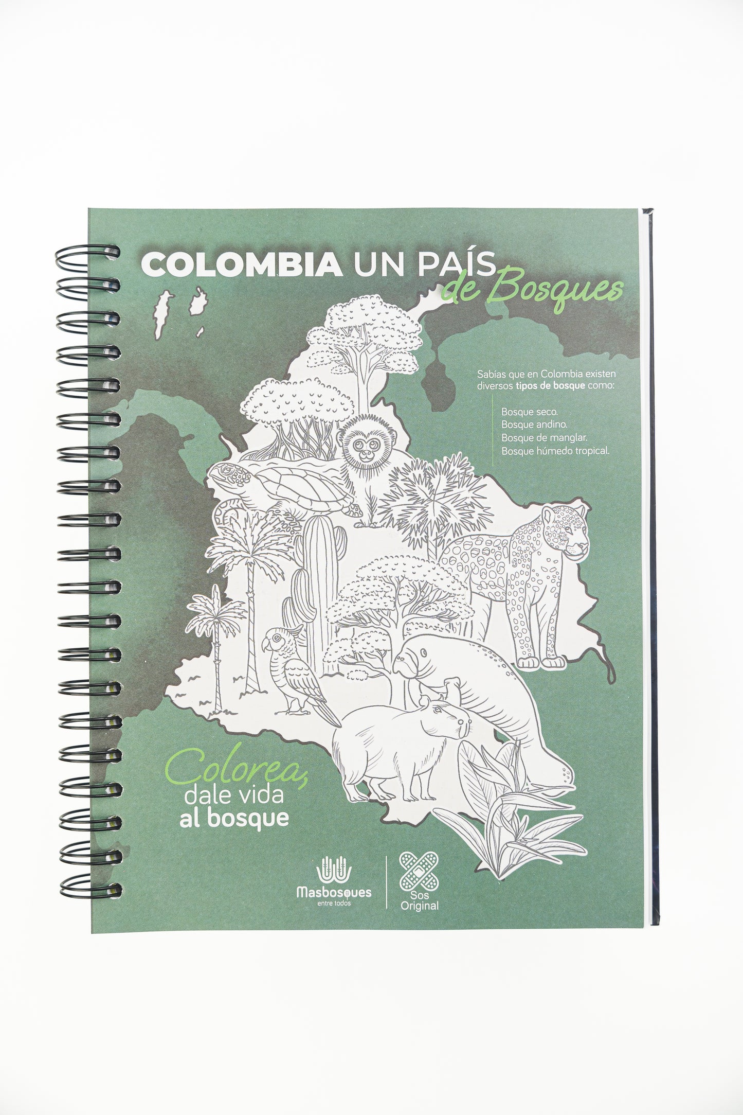 Cuaderno Negro Basic (Tamaño Estándar)