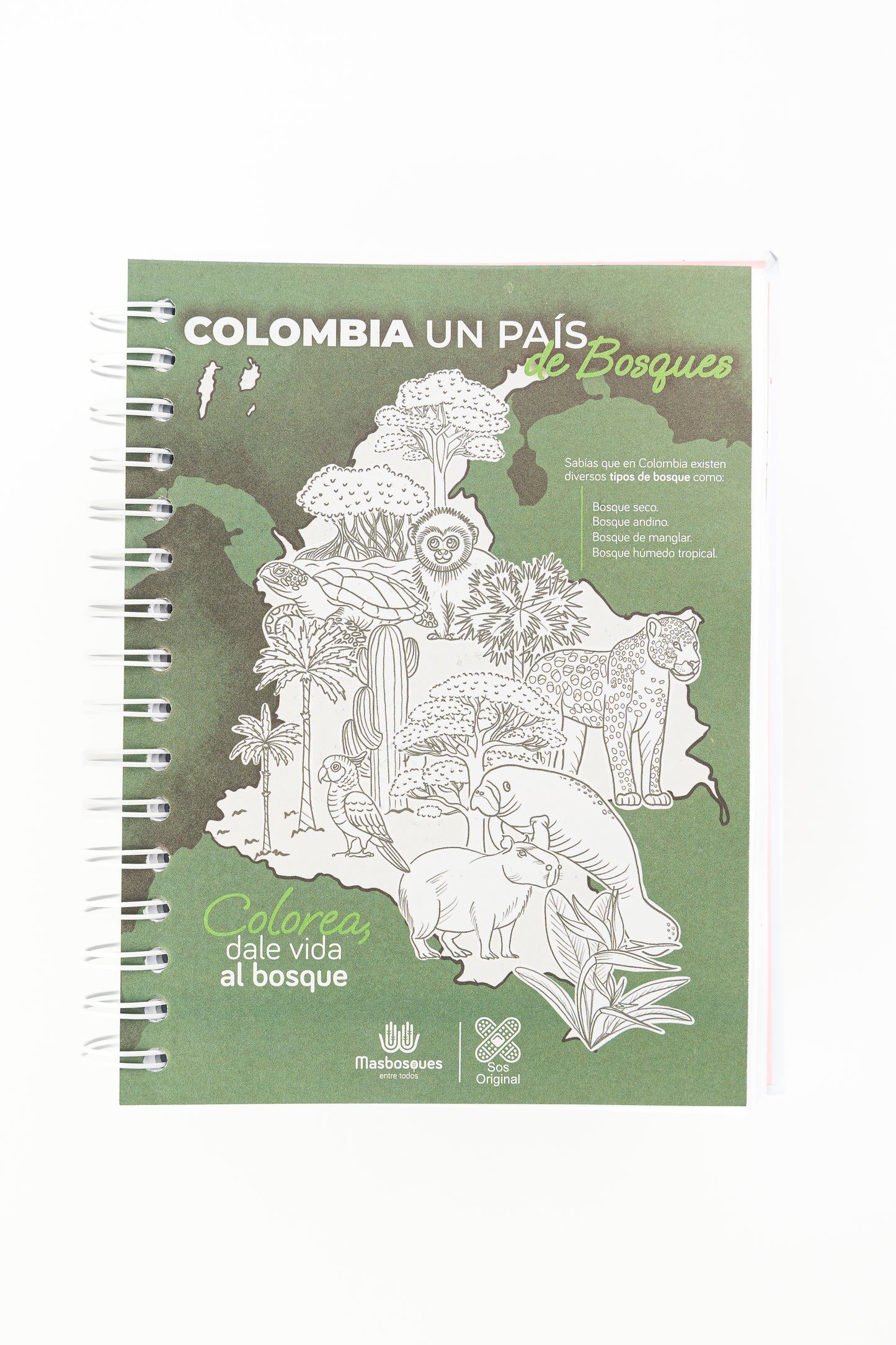 Cuaderno Polar (Tamaño Estándar)