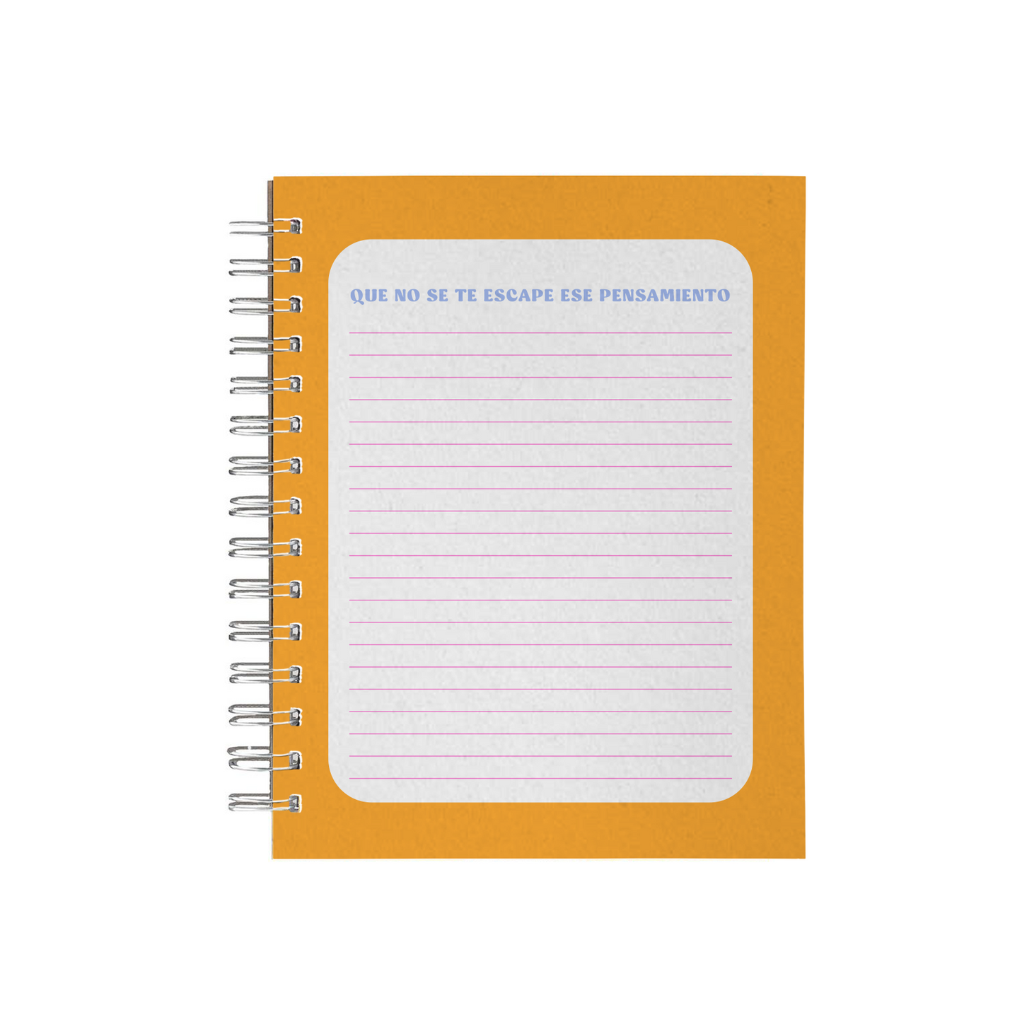 Cuaderno Hongos