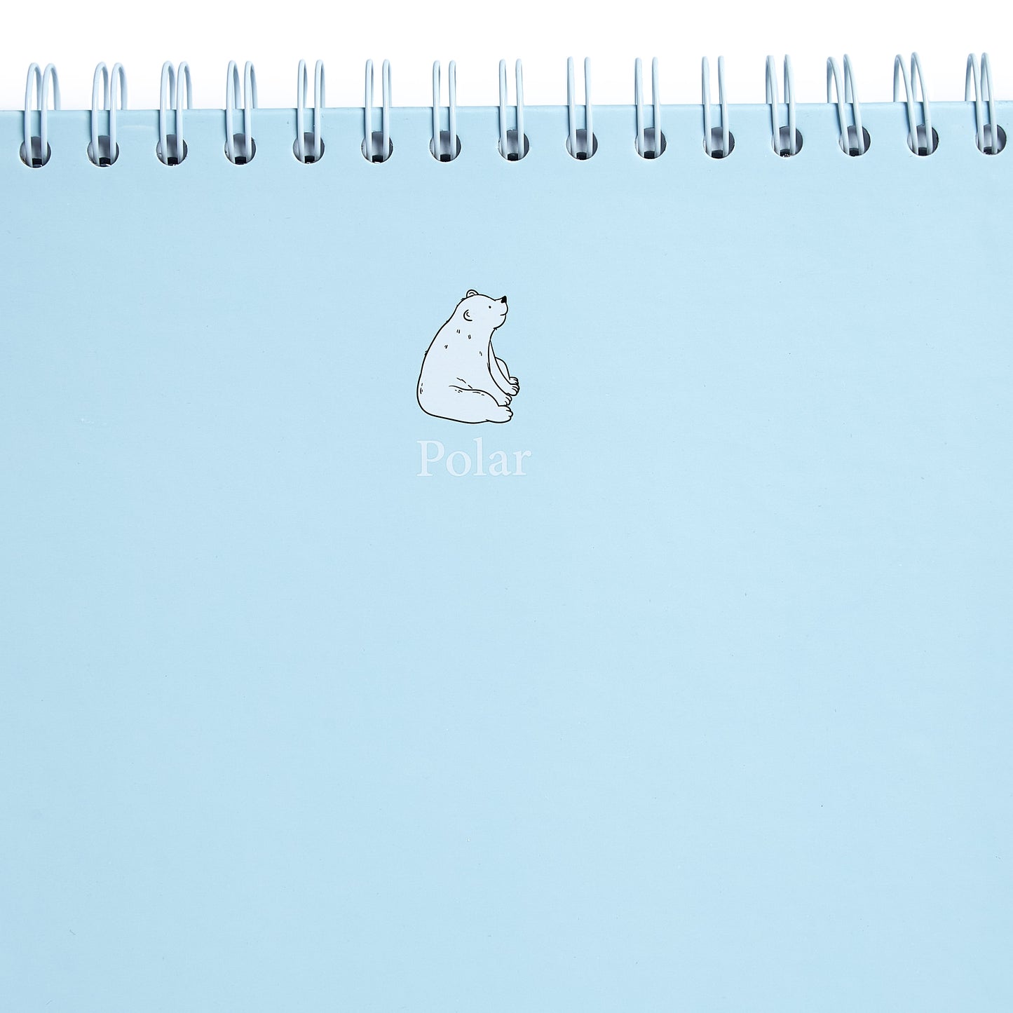 Bitácora POLAR 🐻❄️