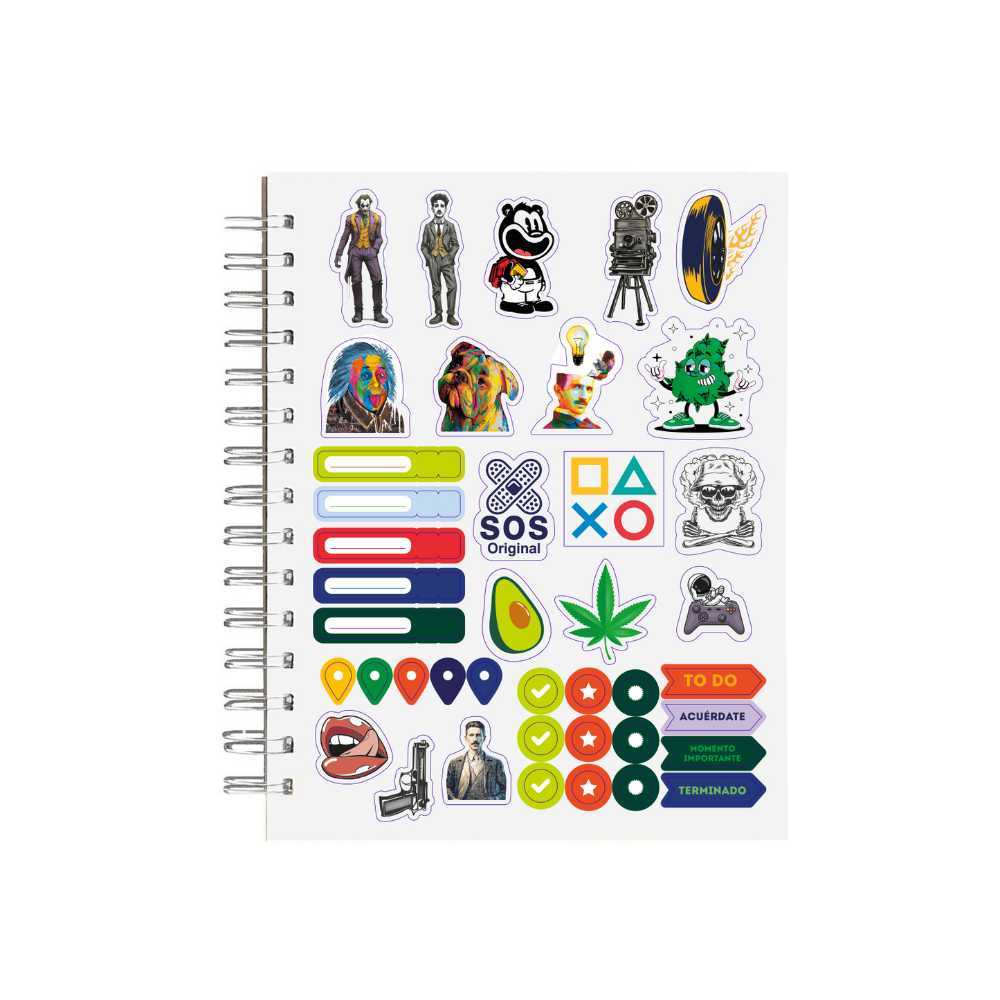 Cuaderno Hongos