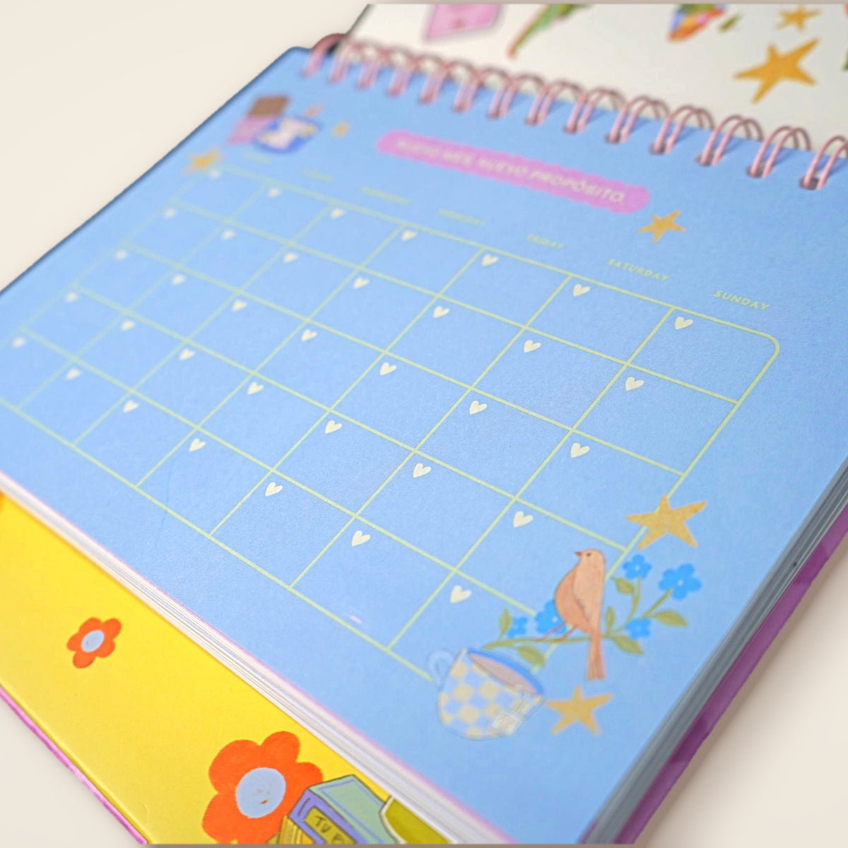 Agenda - Este es mi año