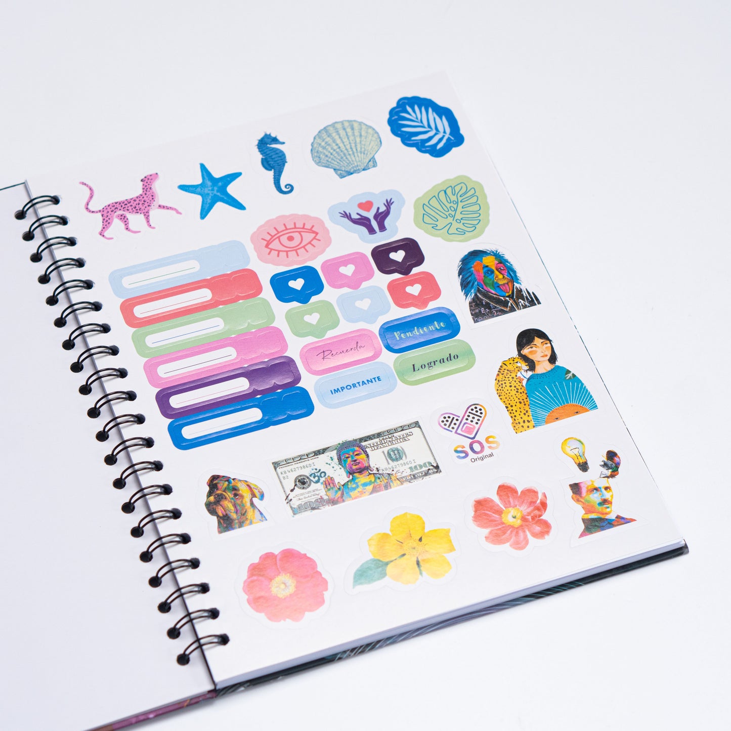 Cuaderno Albert Einstein Funny
