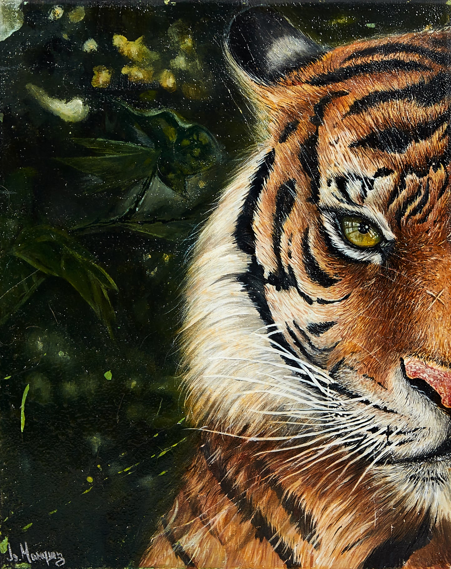Captive TIGER