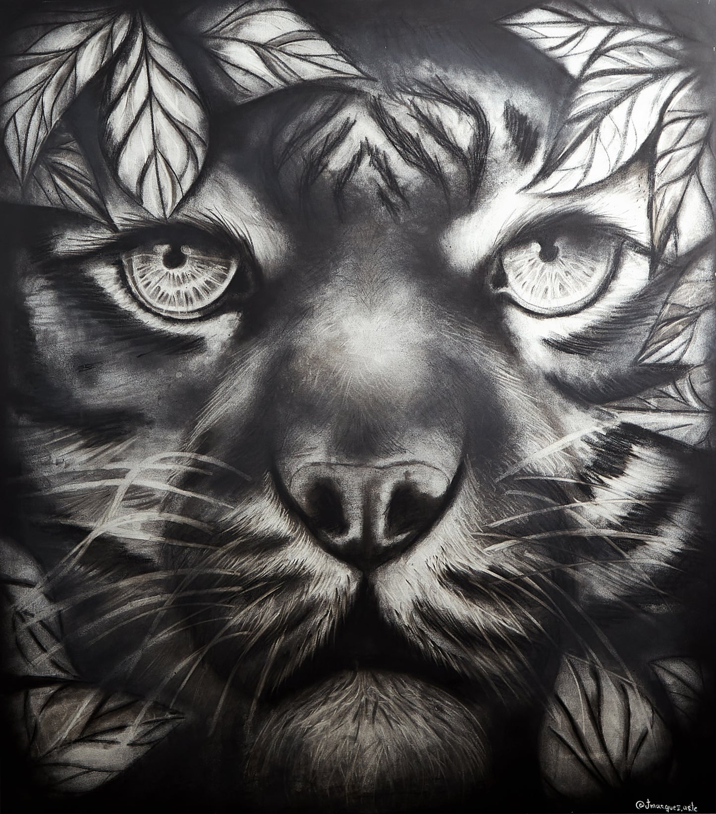 Tigre Deep look / leaf