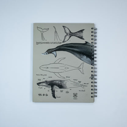 Cuaderno Ballena