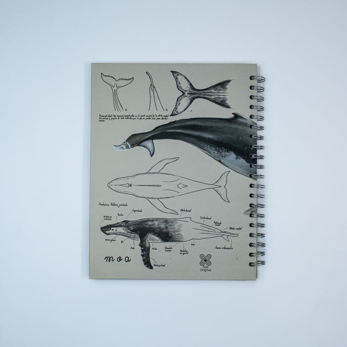 Cuaderno Ballena
