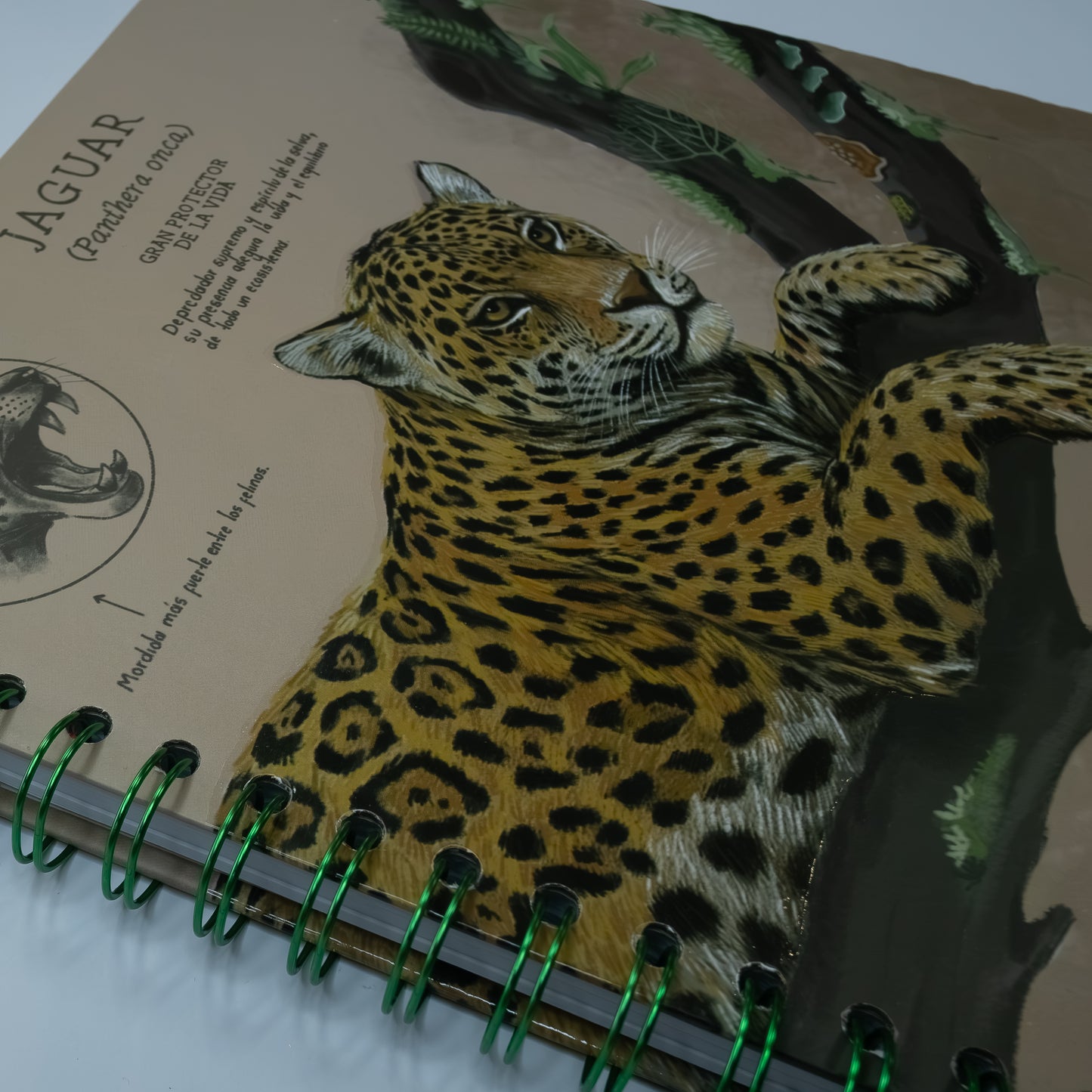 Cuaderno Jaguar