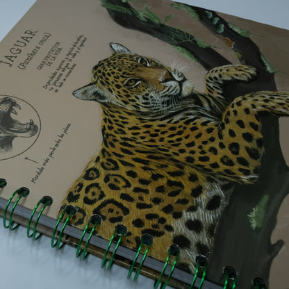 Cuaderno Jaguar