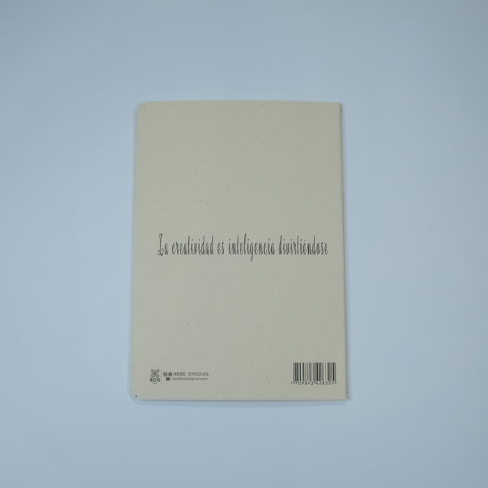 Journal Einstein
