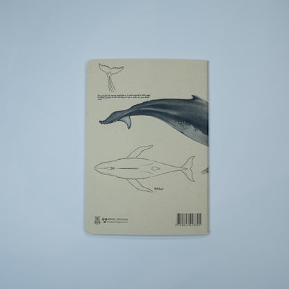 Journal Ballena Jorobada