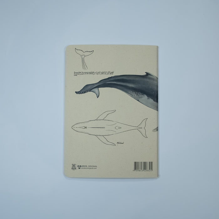 Journal Ballena Jorobada