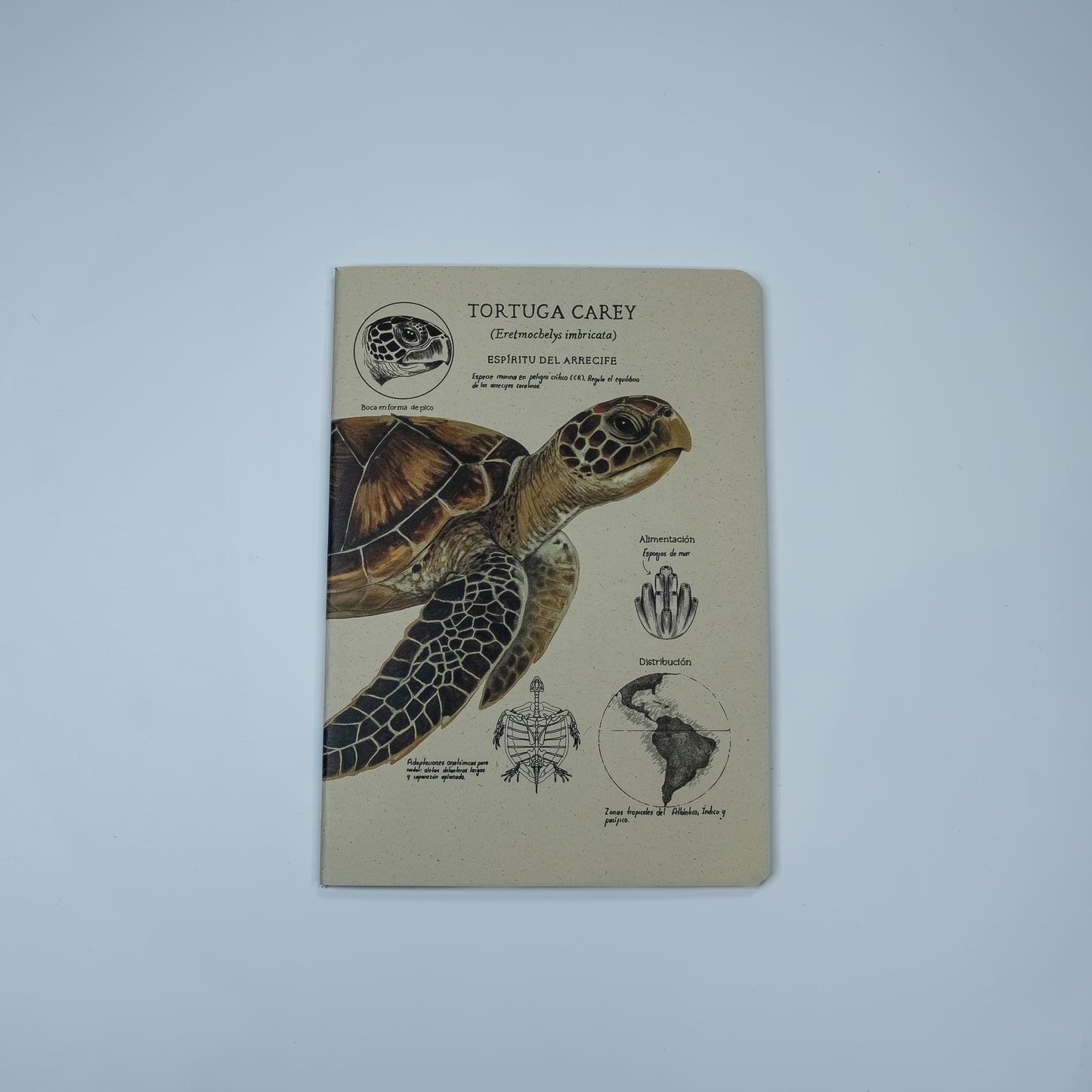 Journal Tortuga Carey