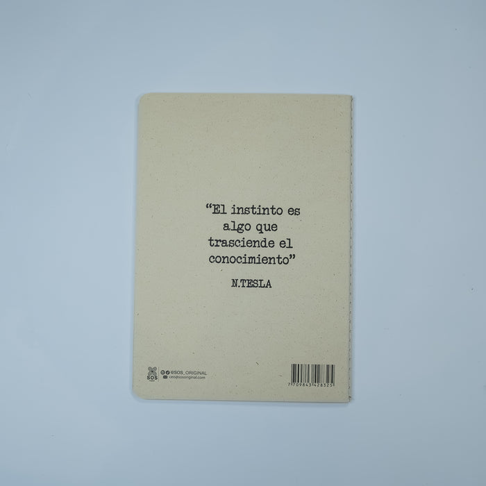 Journal Nikola Tesla