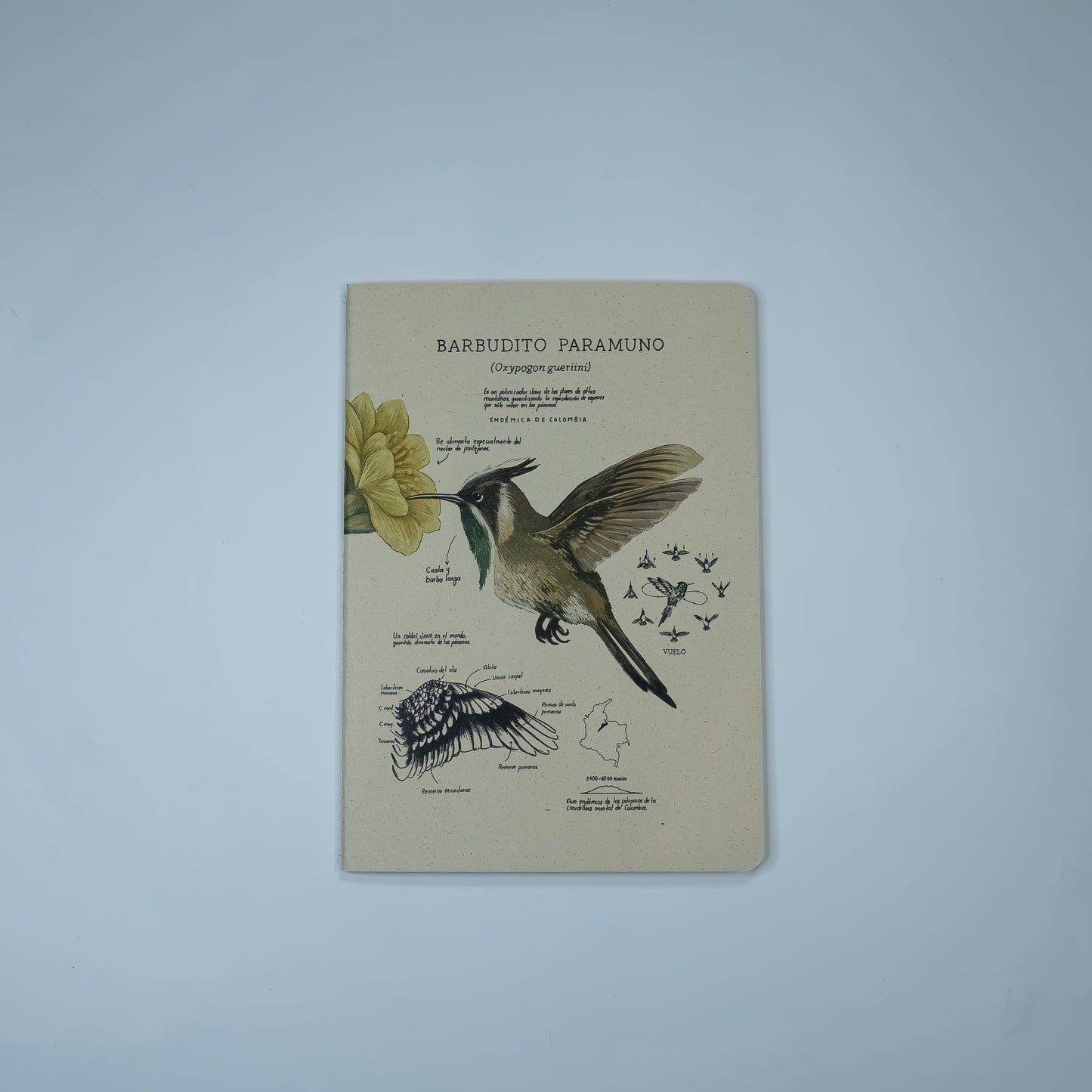 Journal Barbudito Paramuno