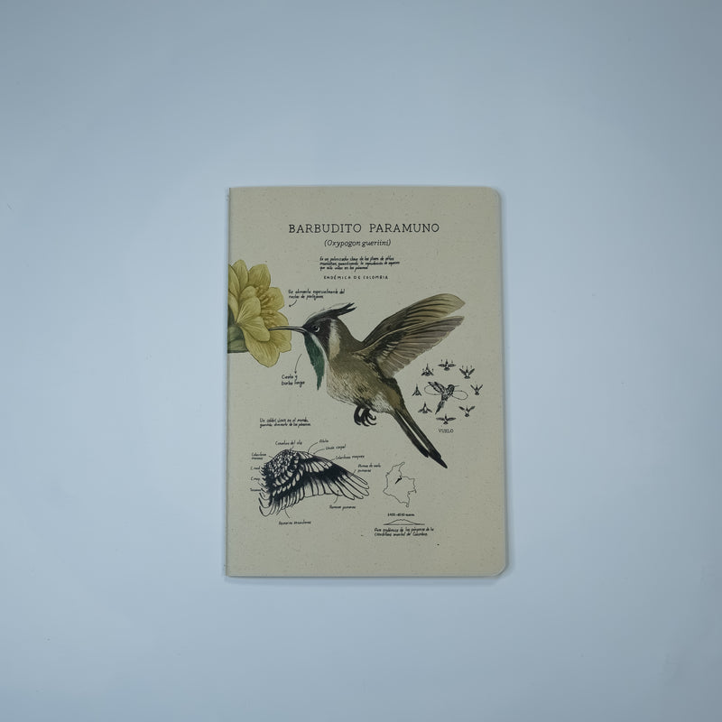 Journal Barbudito Paramuno