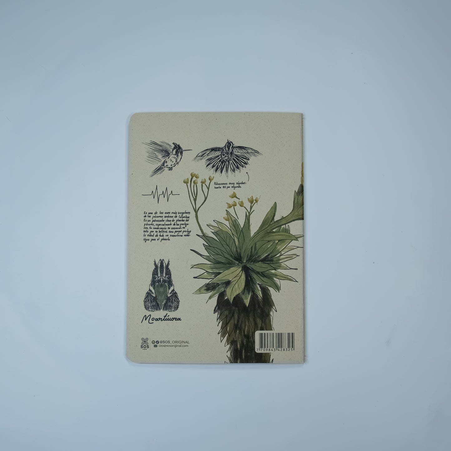 Journal Barbudito Paramuno