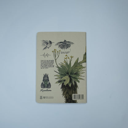Journal Barbudito Paramuno