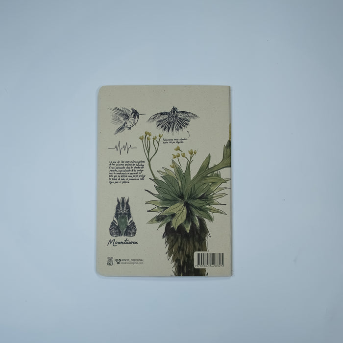 Journal Barbudito Paramuno