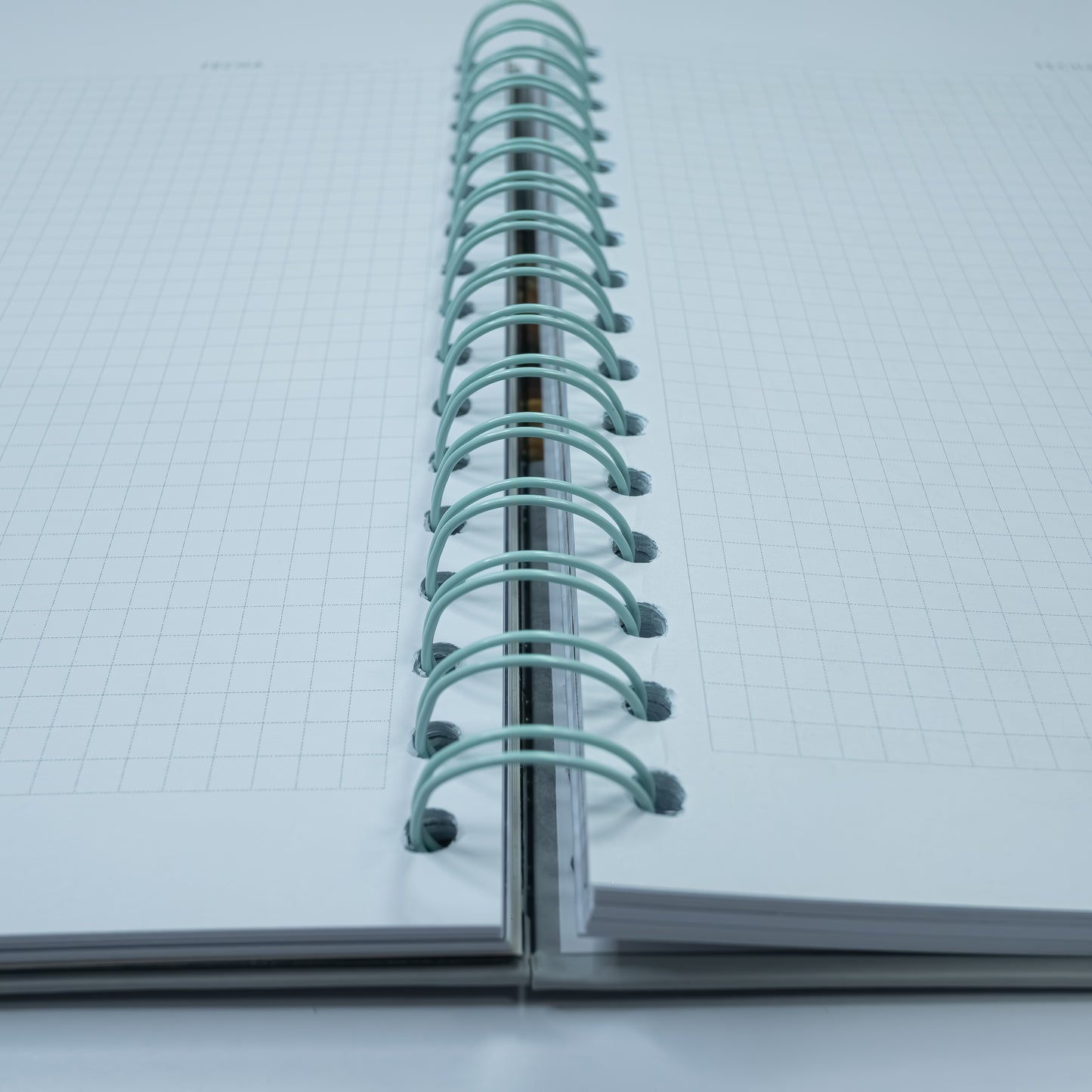 Cuaderno Tortuga Carey (Tamaño Standard)