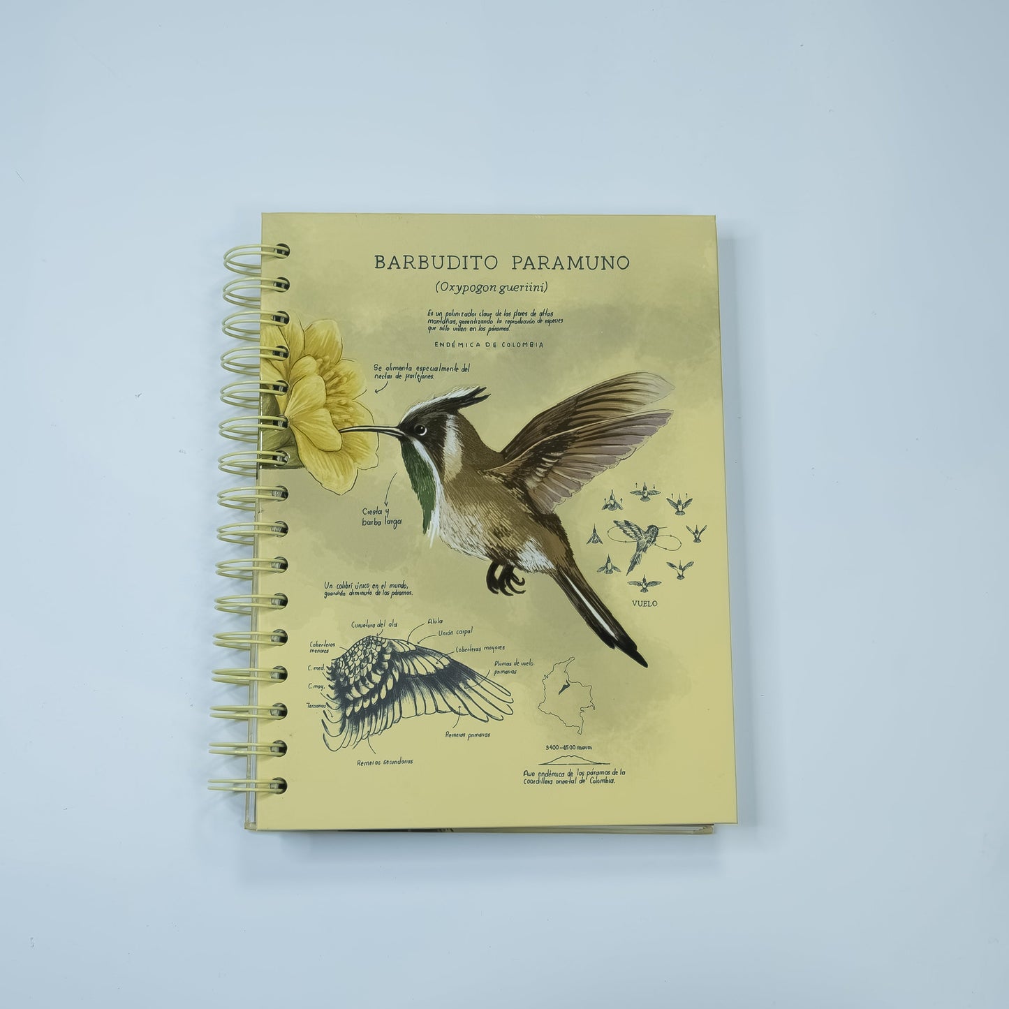 Cuaderno Barbudito Paramuno (Tamaño Standard)