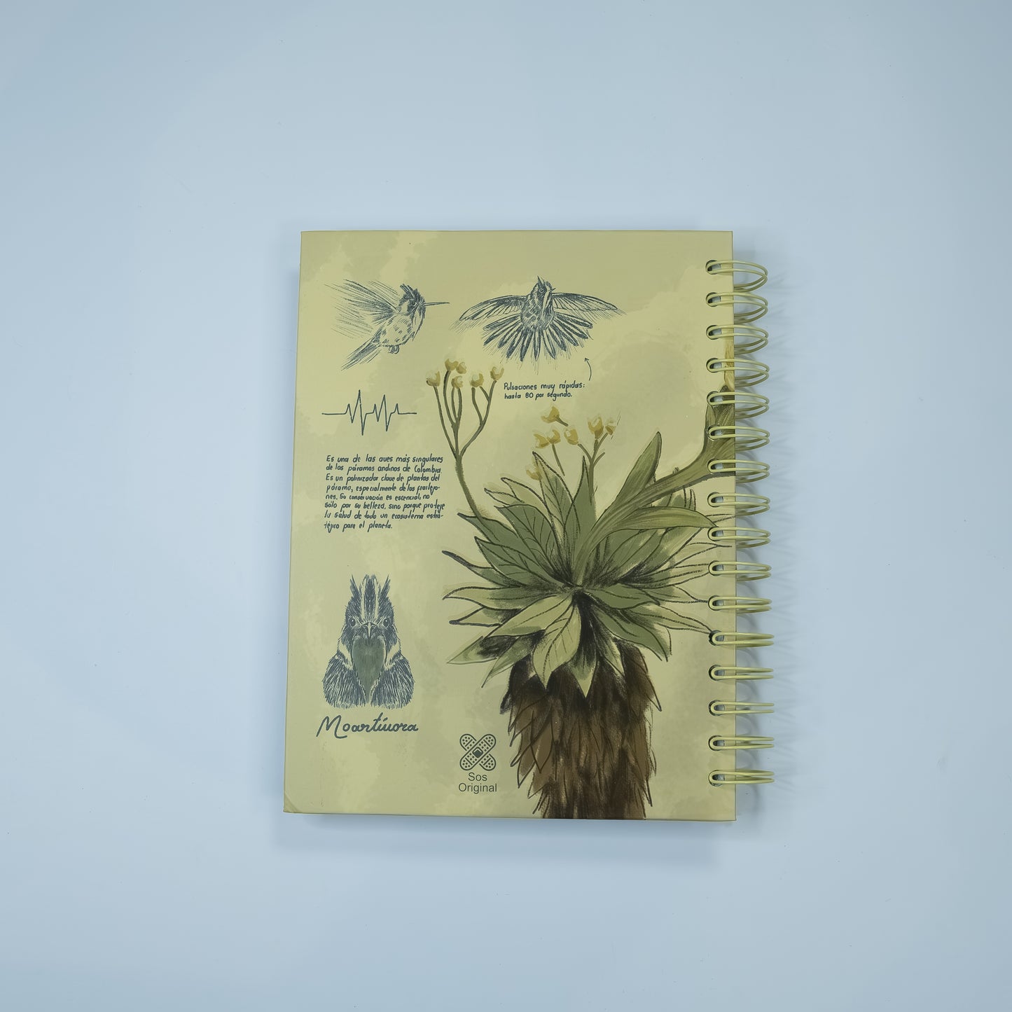 Cuaderno Barbudito Paramuno (Tamaño Standard)