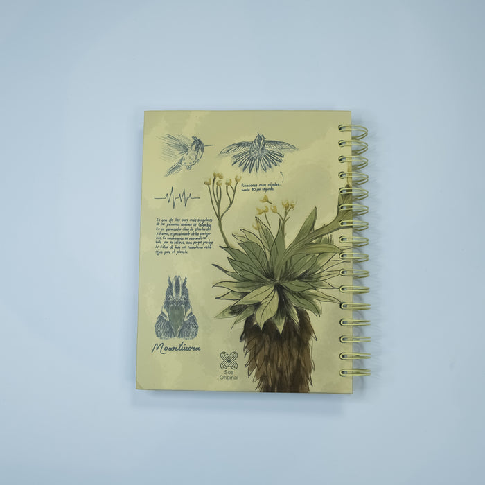 Cuaderno Barbudito Paramuno (Tamaño Standard)
