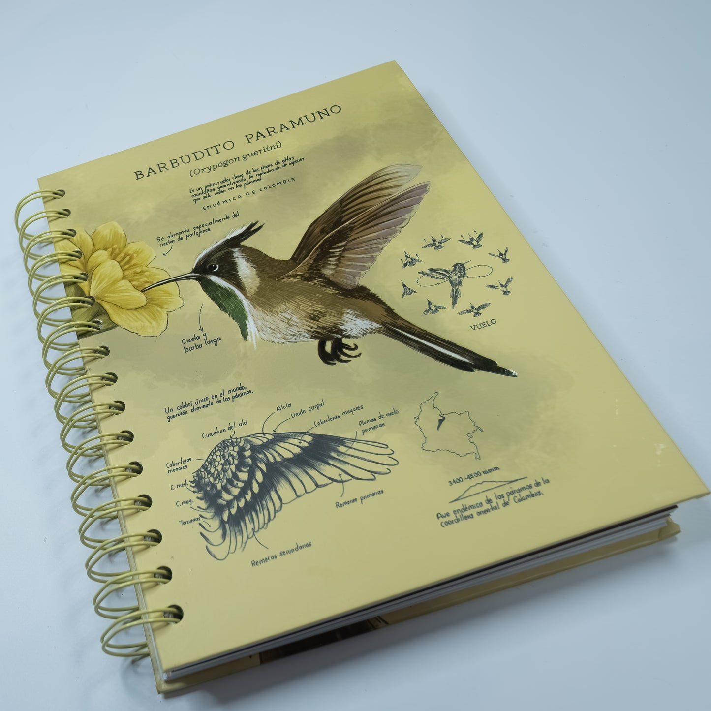 Cuaderno Barbudito Paramuno (Tamaño Standard)