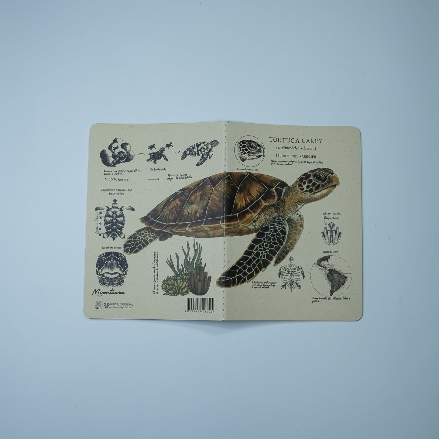 Journal Tortuga Carey