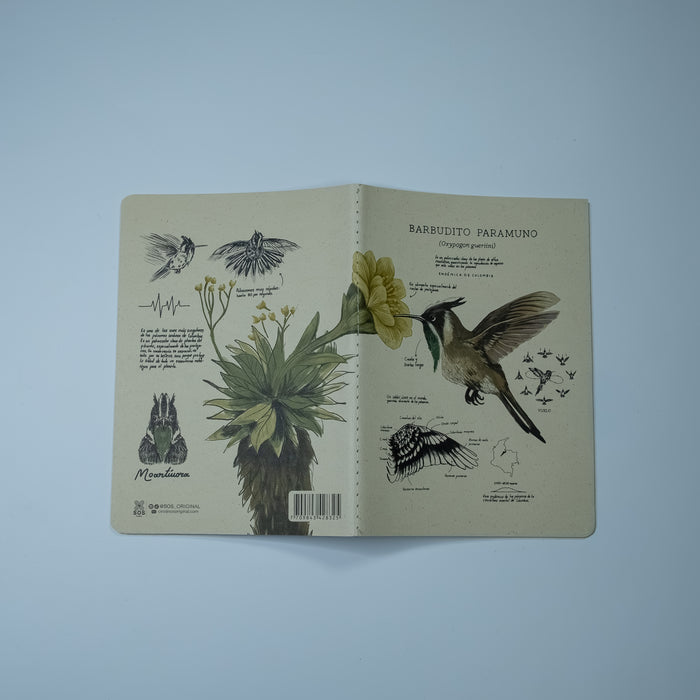 Journal Barbudito Paramuno
