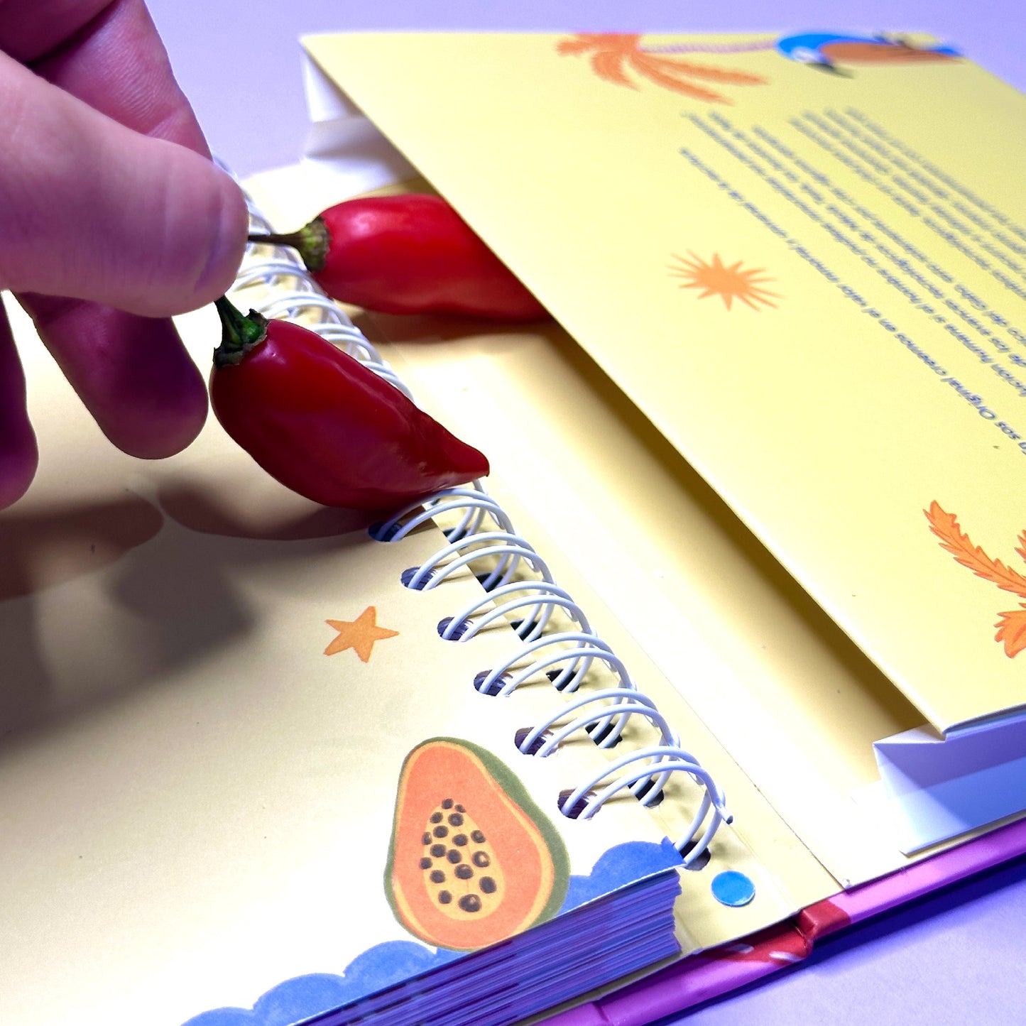 Agenda Sos Original 2026