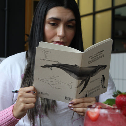 Journal - Ballena