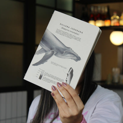 Journal - Ballena