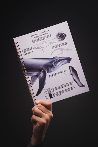 Cuaderno Ballena (Tamaño Estándar)