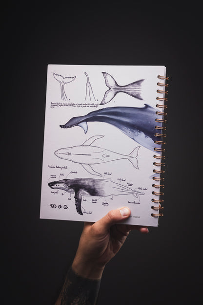 Cuaderno Ballena (Tamaño Estándar)