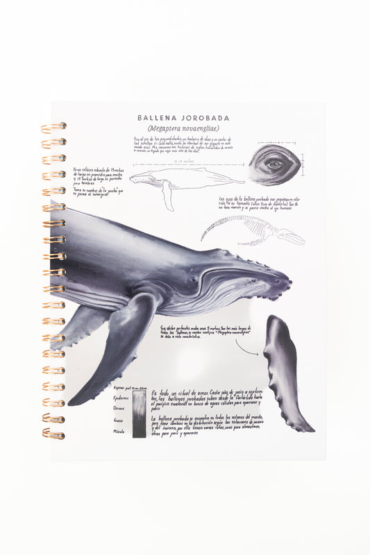 Cuaderno Ballena (Tamaño Grande)