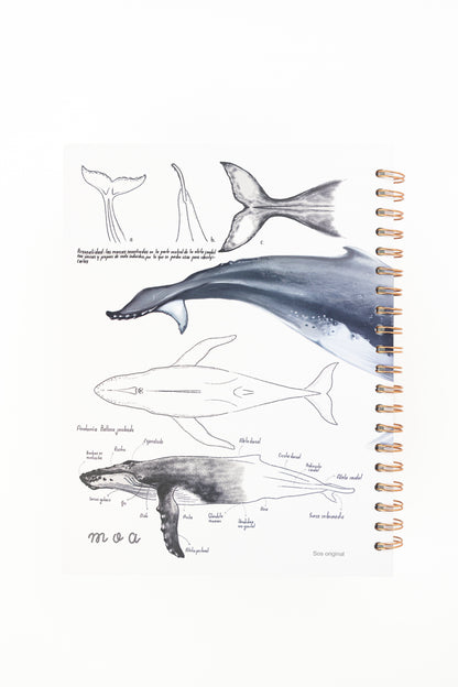 Cuaderno Ballena (Tamaño Estándar)