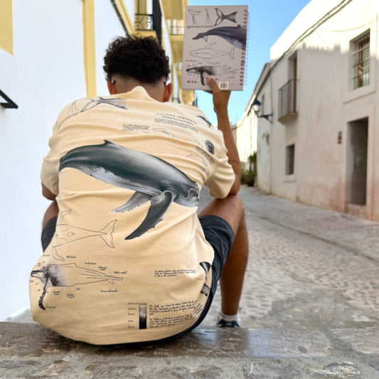 Camiseta Ballena Jorobada