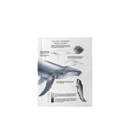 Libreta de bolsillo Ballena