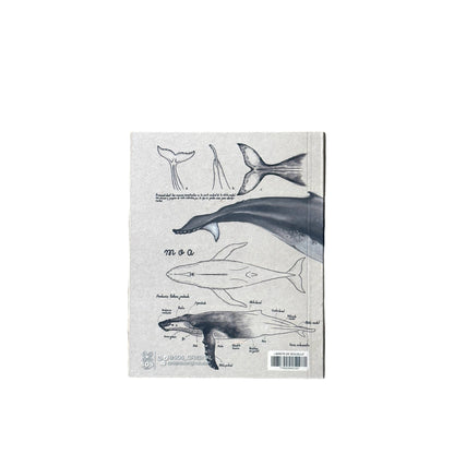 Libreta de bolsillo Ballena