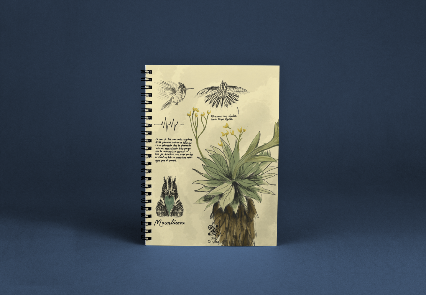 Cuaderno Barbudito Paramuno (Tamaño Standard)