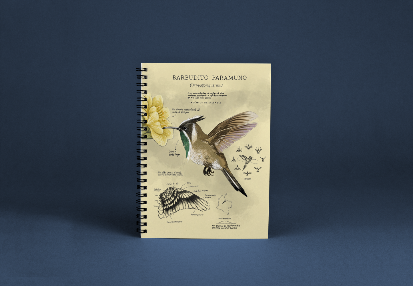 Cuaderno Barbudito Paramuno (Tamaño Standard)