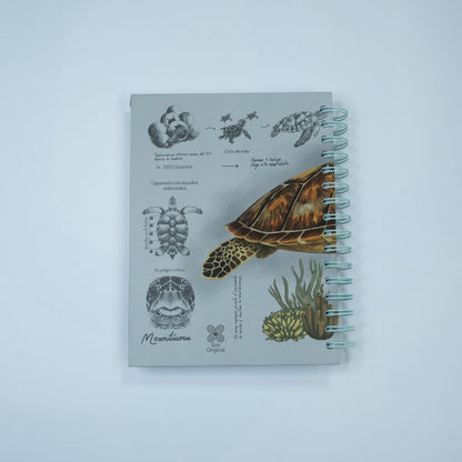 Cuaderno Tortuga Carey SOS Original 2026 - Detalle ilustración tortuga marina