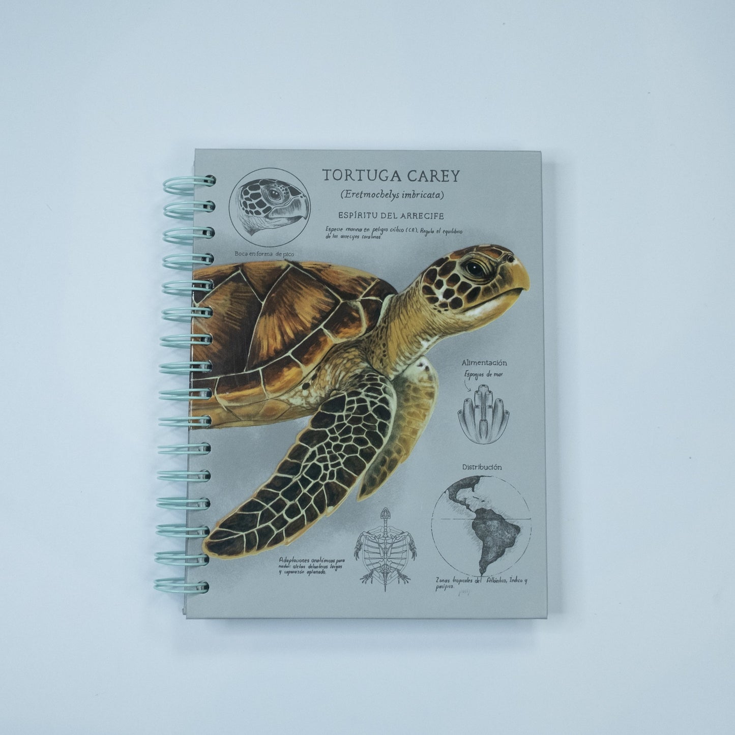 Cuaderno Tortuga Carey SOS Original 2026 - Vista frontal diseño fauna marina