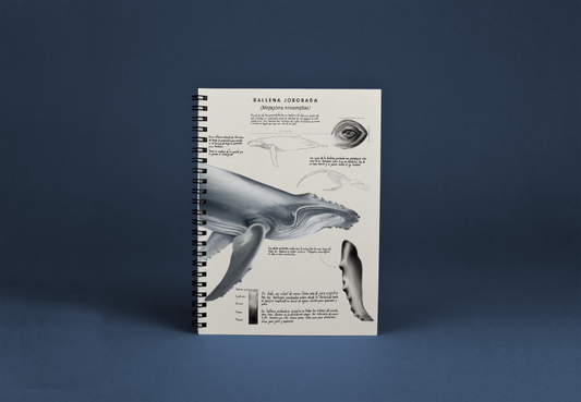 Cuaderno Ballena
