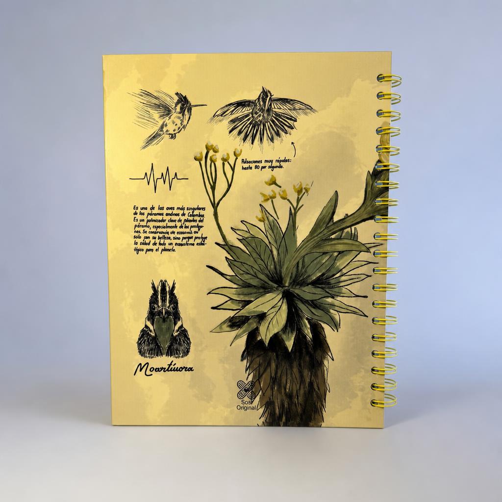Cuaderno Barbudito Paramuno